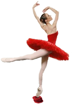 Crystal Clear Software Ltd. – Kampala, Uganda